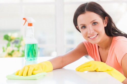 Window cleaning service for elegant Mayfair property frontage
