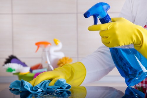 Detailed Mayfair cleaner working in a refined interior space