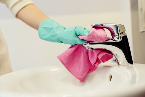 Professional carpet cleaning for a Mayfair residence