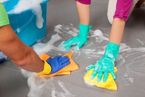 Keyboard navigation and clear page structure for Mayfair cleaning information