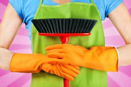 Professional cleaning in a Mayfair residence and office setting