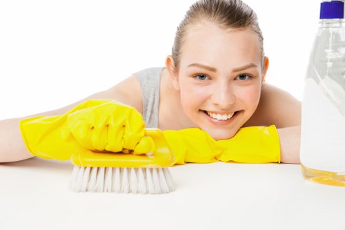 Routine domestic cleaning in a refined Mayfair home bathroom