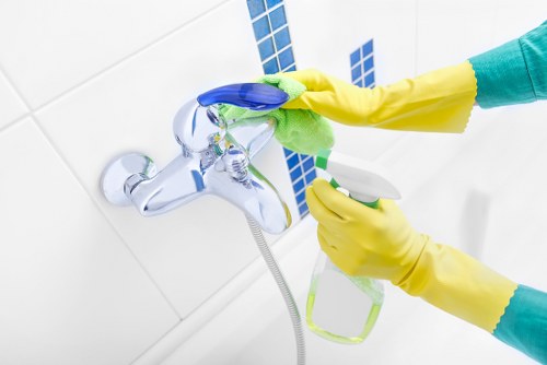 Professional cleaner working on Mayfair residential windows