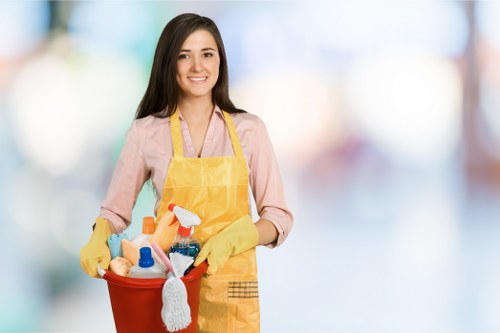 Local domestic cleaner working in a Mayfair apartment