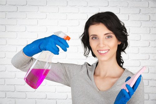 Cleaning a luxury townhouse bathroom before move-in in Mayfair