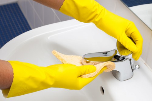Modern kitchen oven cleaning in a central London property